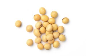 Top view of a pile of soybeans on a white background.